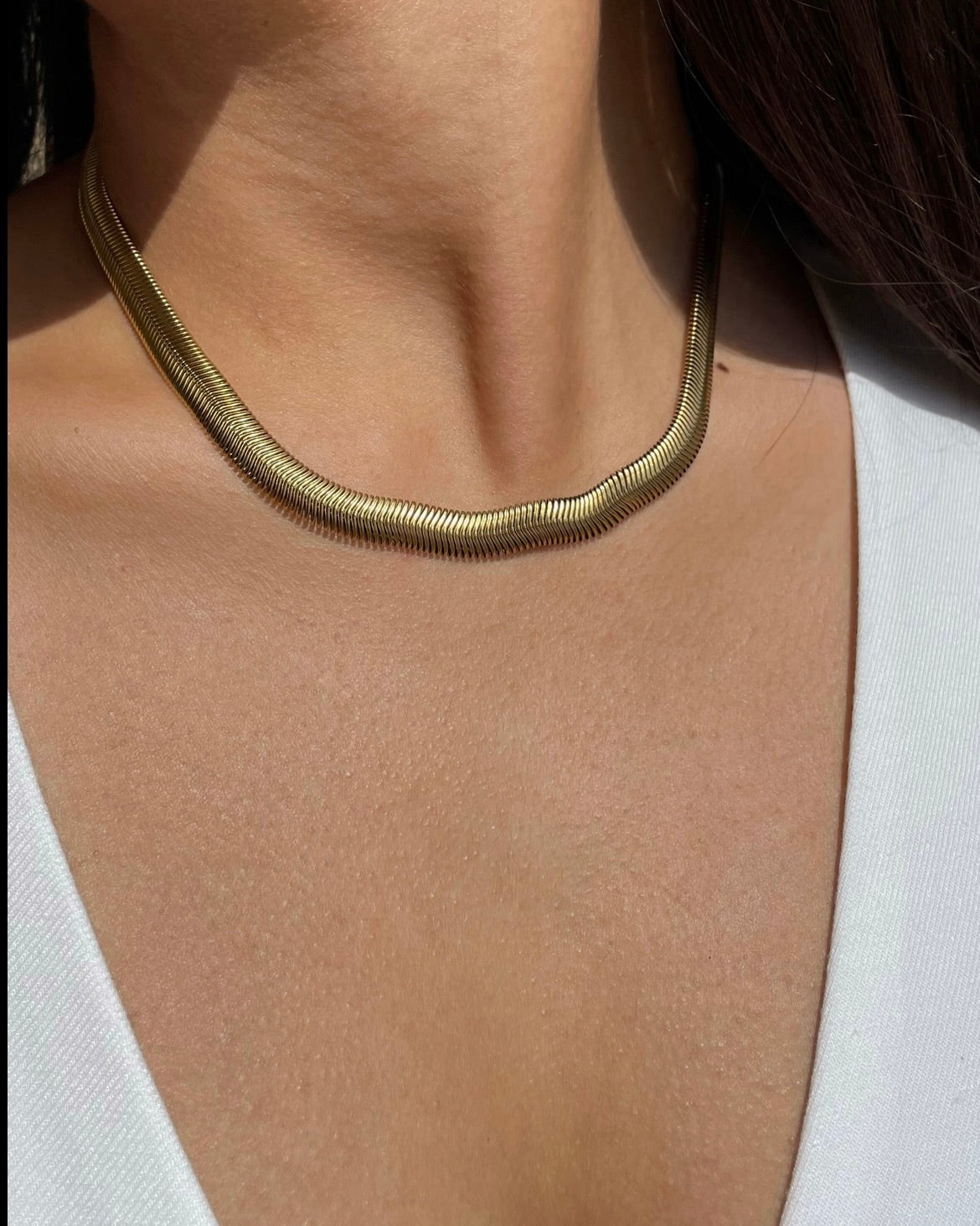Snake Bold Necklace
